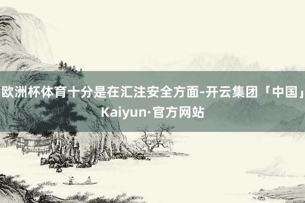 欧洲杯体育十分是在汇注安全方面-开云集团「中国」Kaiyun·官方网站