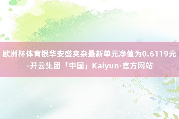 欧洲杯体育银华安盛夹杂最新单元净值为0.6119元-开云集团「中国」Kaiyun·官方网站