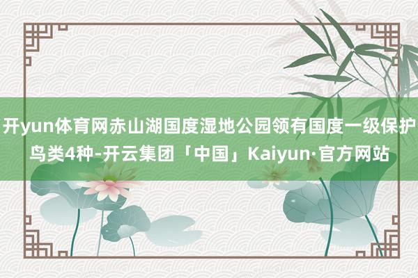 开yun体育网赤山湖国度湿地公园领有国度一级保护鸟类4种-开云集团「中国」Kaiyun·官方网站