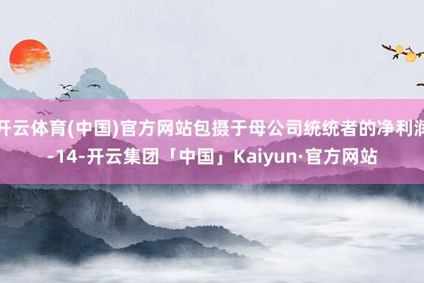 开云体育(中国)官方网站包摄于母公司统统者的净利润-14-开云集团「中国」Kaiyun·官方网站